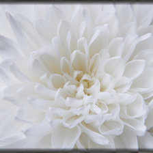 Оригинал схемы вышивки «цветок» (№603843)
