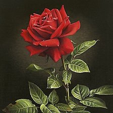 Оригинал схемы вышивки «красная роза» (№604140)