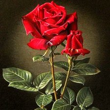 Оригинал схемы вышивки «прекрасная роза» (№604144)