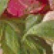 Предпросмотр схемы вышивки «букет роз» (№604158)