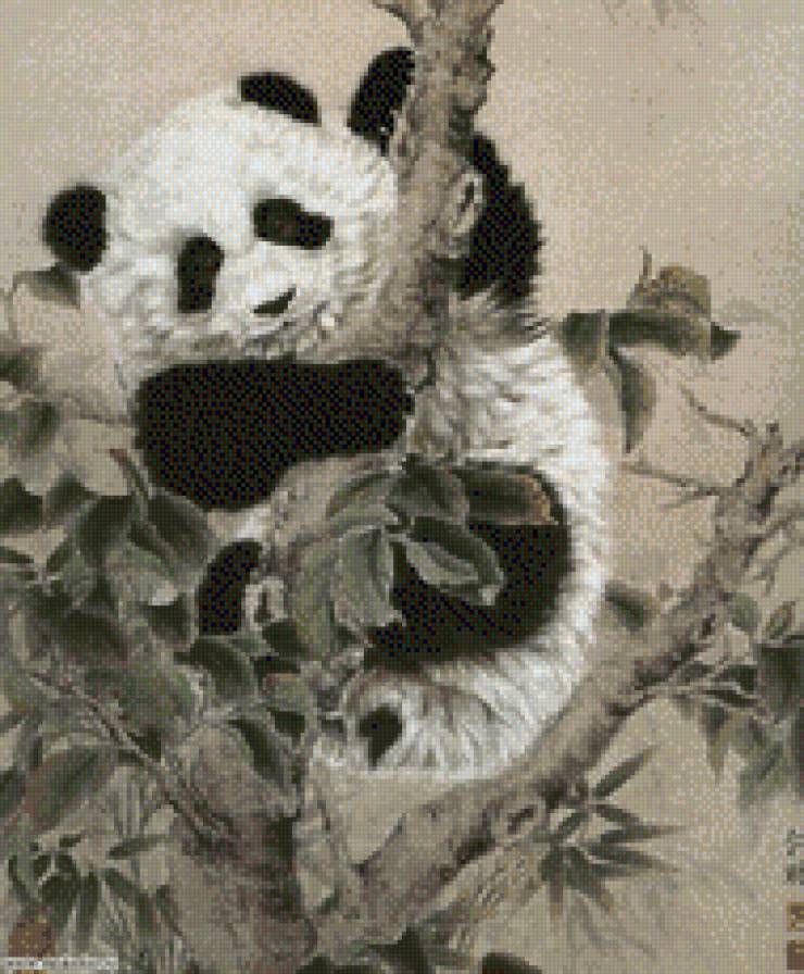 панда - животное, панда - предпросмотр