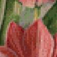 Предпросмотр схемы вышивки «Букет тюльпанов» (№605008)