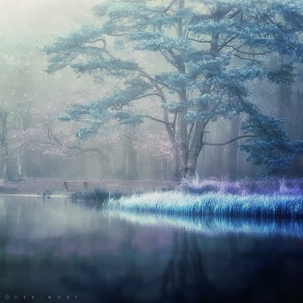 Волшебное утро - лес, туман, озеро, утро - оригинал