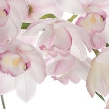 Оригинал схемы вышивки «Белые орхидеи» (№606118)