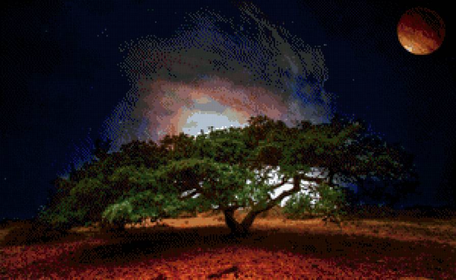 Одинокое дерево - ночь, луна, дерево - предпросмотр