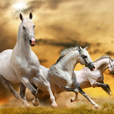 Схема вышивки «три белых коня»