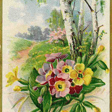 Оригинал схемы вышивки «Цветы и берёзы» (№607999)