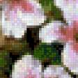 Предпросмотр схемы вышивки «Цветы в горшке» (№608014)