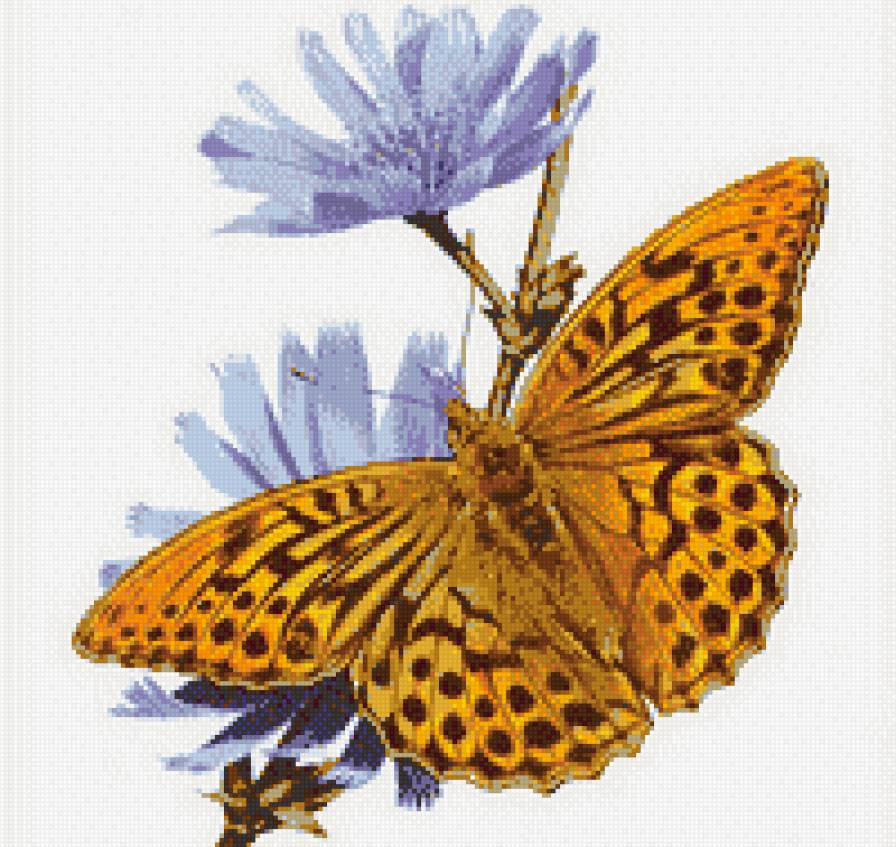 Бабочка - лето, бабочка, насекомые - предпросмотр