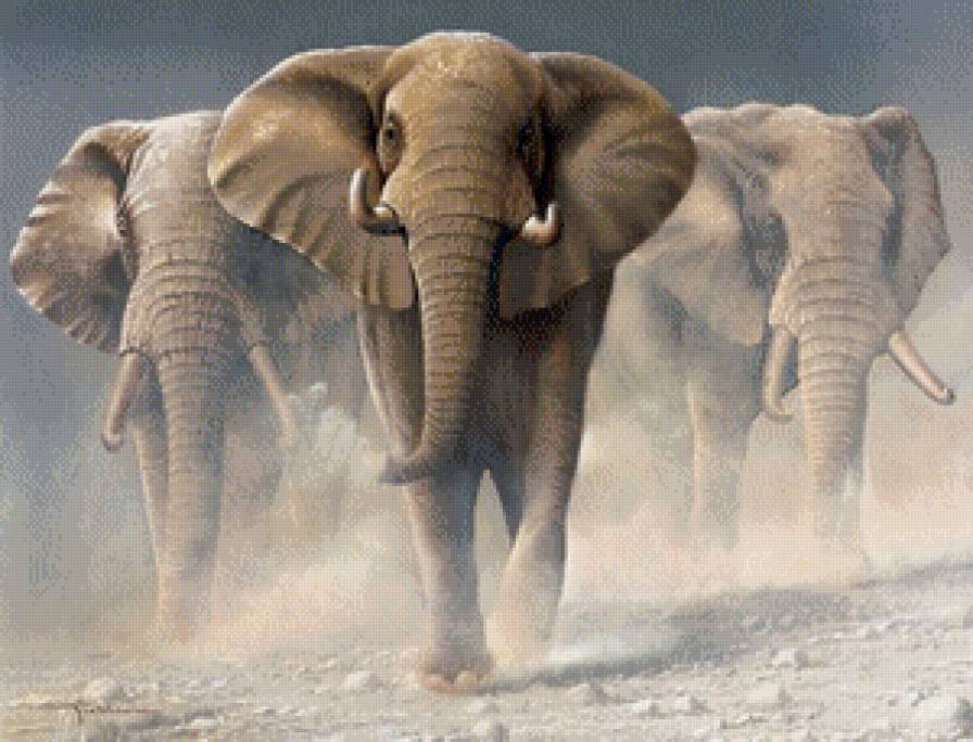 три слона - слоны, животные, африка - предпросмотр