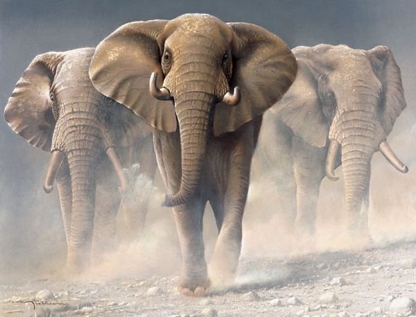 три слона 2 - слоны, животные, африка - оригинал