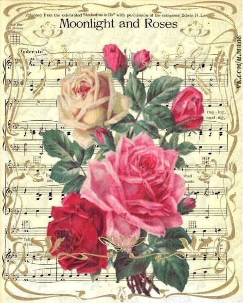 Moonlight and roses - музыка, ноты, розы, цветы, роза - оригинал