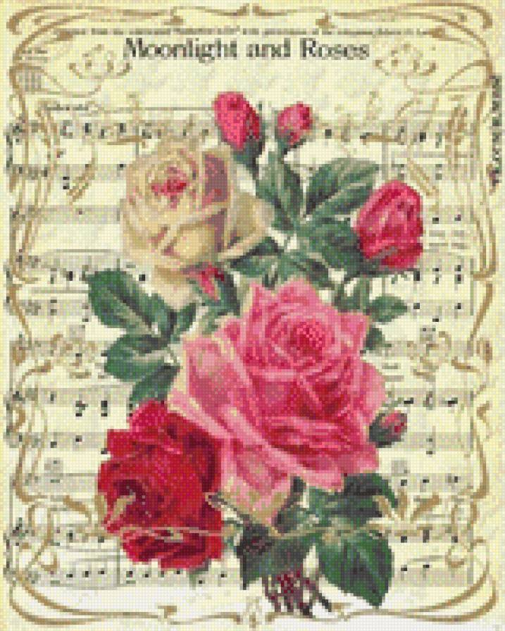 Moonlight and roses - розы, музыка, роза, цветы, ноты - предпросмотр