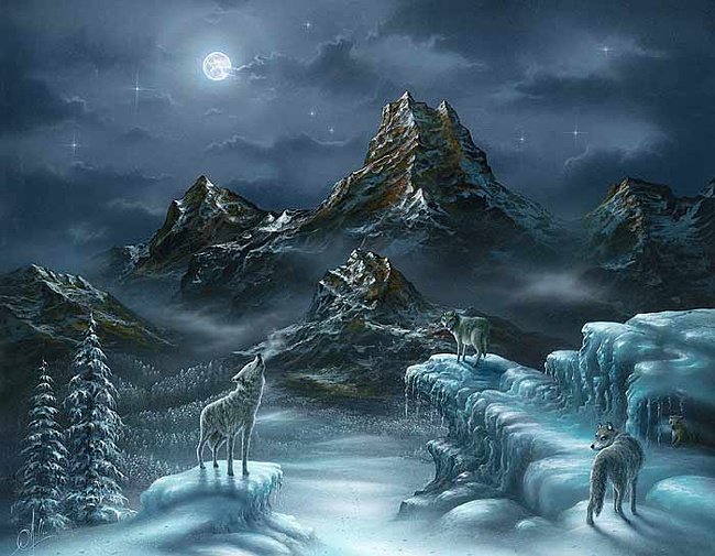 зимняя ночь в горах - волки, пейзаж, ночь, горы - оригинал