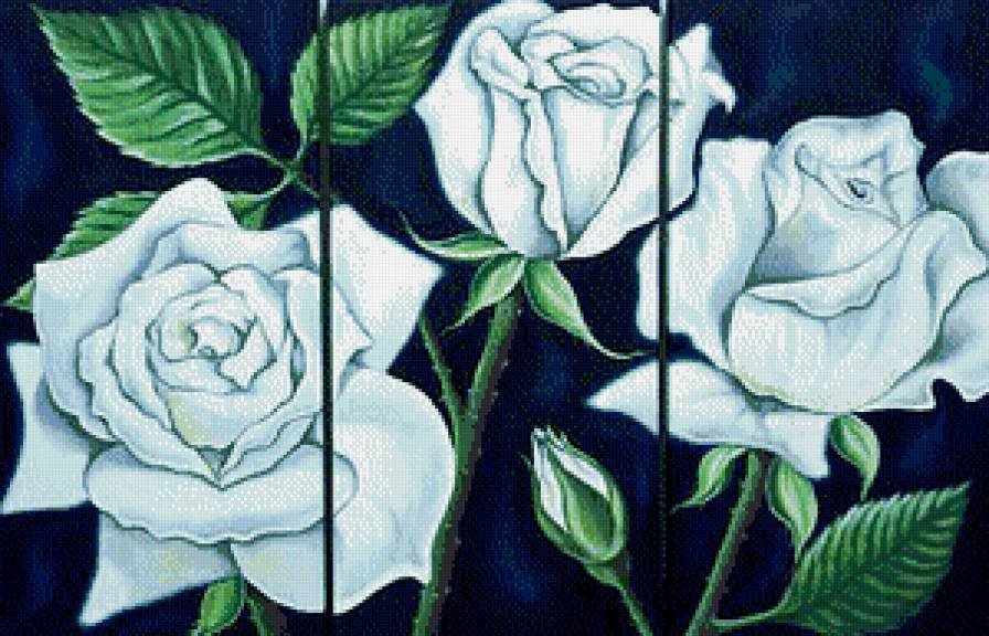 триптих "Белые розы" - розы, цветы, триптих - оригинал