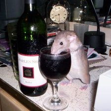 Крыска с вином