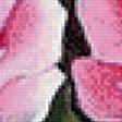 Предпросмотр схемы вышивки «Розы и ромашки» (№609622)