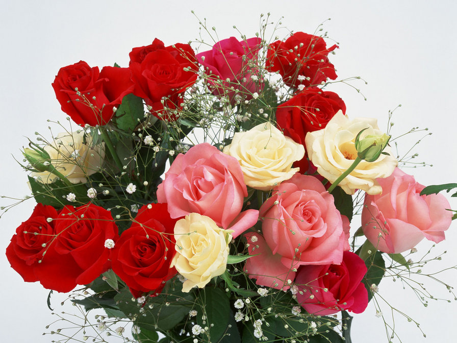 букет роз - розы, цветы - оригинал