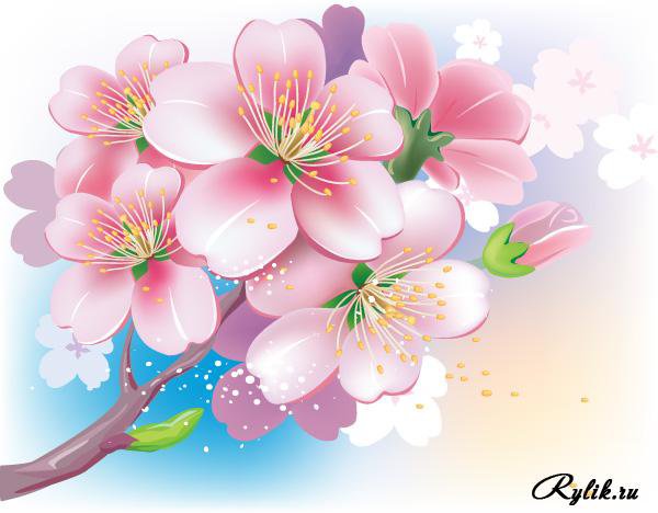 Сакура - восток, дерево, цветы, сакура - оригинал