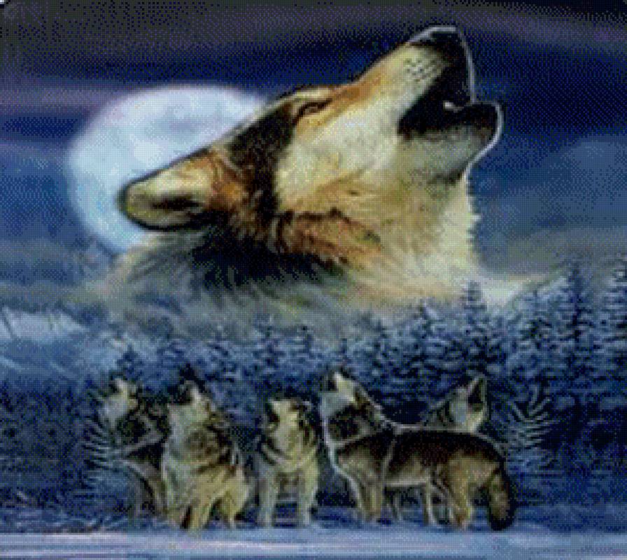 волки - животные, луна, природа, волки - предпросмотр