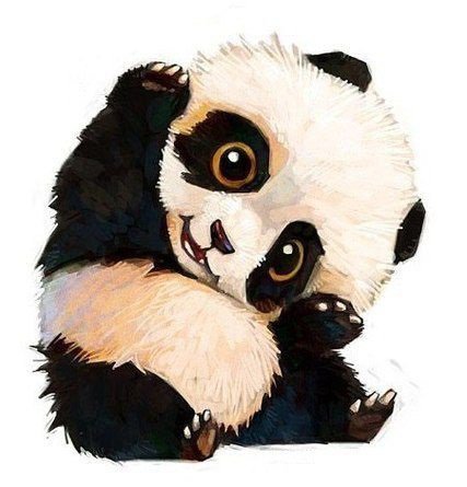 Панда - панда, мило - оригинал