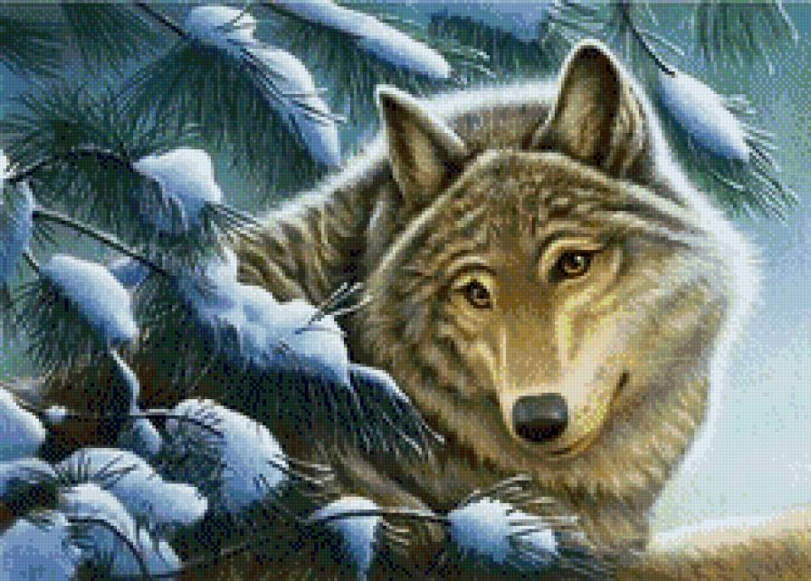 №611959 - животные, волк, зима - предпросмотр
