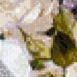 Предпросмотр схемы вышивки «цветы» (№612586)
