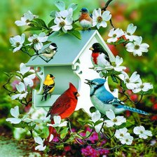 птички в цветах
