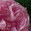 Предпросмотр схемы вышивки «серия "розы"» (№612717)
