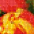 Предпросмотр схемы вышивки «тюльпаны» (№613209)