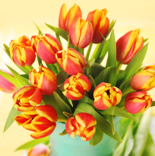 тюльпаны - букет, цветы, тюльпаны - оригинал