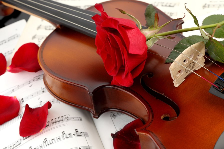 роматнтика - музыка, роза, скрипка, цветы, романтика - оригинал