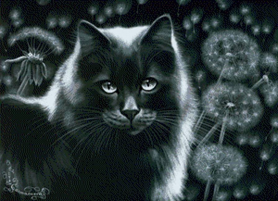 черная кошка - кошки - предпросмотр