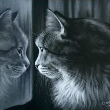 Схема вышивки «котик в зеркале»