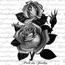 Оригинал схемы вышивки «розы» (№613636)