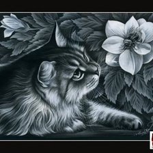 Оригинал схемы вышивки «кошка с цветком» (№613637)