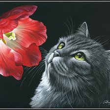 Оригинал схемы вышивки «кошка с тюльпаном» (№613668)