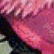 Предпросмотр схемы вышивки «фламинго» (№613850)
