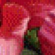 Предпросмотр схемы вышивки «цветы» (№613856)