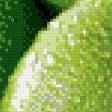 Предпросмотр схемы вышивки «зеленые яблочки» (№613927)