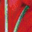 Предпросмотр схемы вышивки «красные тюльпаны» (№614529)