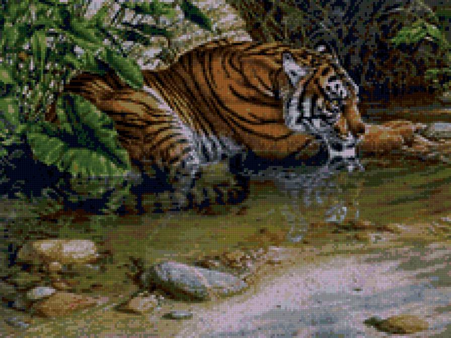 Тигрица у воды - тигры, дикие кошки, животные - предпросмотр