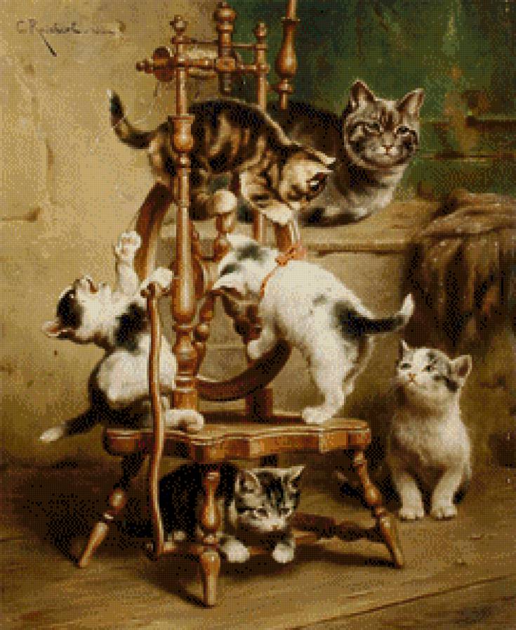 кошачье семейство - кошки - предпросмотр