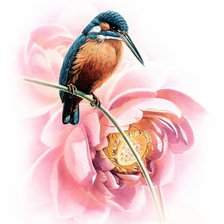 Оригинал схемы вышивки «птичка на цветке» (№614893)