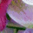 Предпросмотр схемы вышивки «Орхидеи» (№615315)