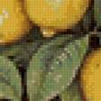 Предпросмотр схемы вышивки «лимонное дерево» (№615434)