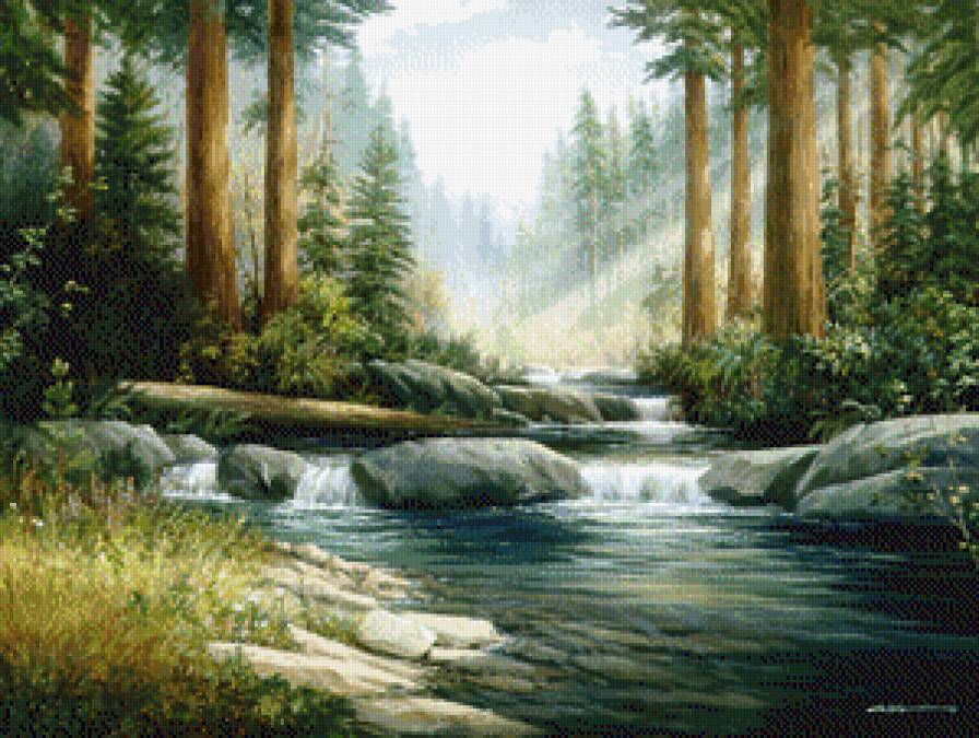 лесная речка - красота природы - предпросмотр