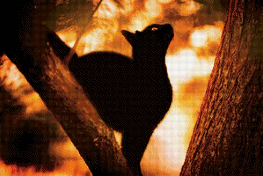 черная кошка на дереве - предпросмотр