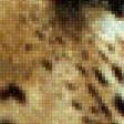 Предпросмотр схемы вышивки «леопард» (№616306)