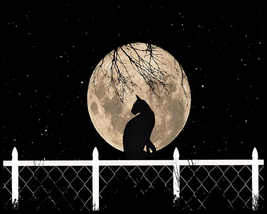 Кошка - кошка, луна, ночь - оригинал